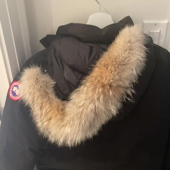 Juniors' [6-20] Rundle Bomber - Picture 4 of 6